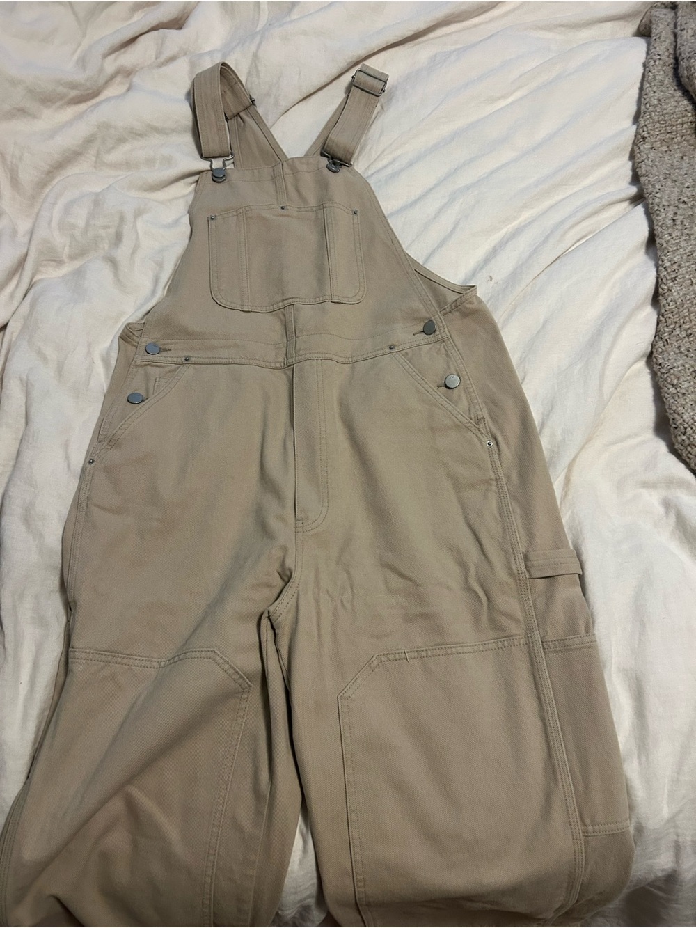 Aritzia TNA Parkside Overalls